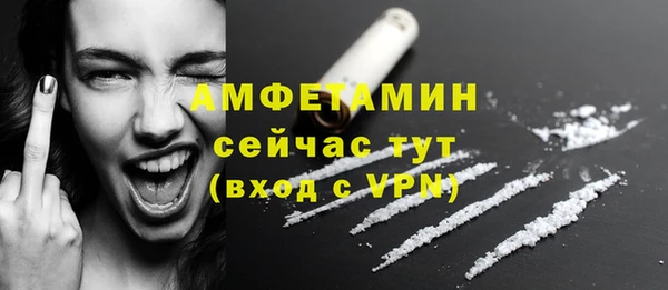 ECSTASY Гусь-Хрустальный