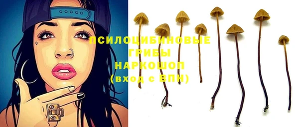 экстази Горняк