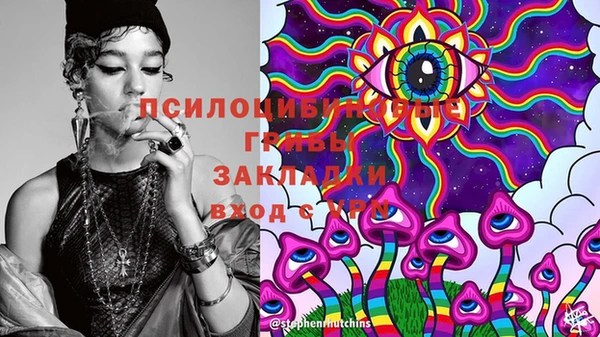 ECSTASY Гусь-Хрустальный