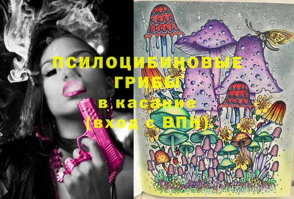 ECSTASY Гусь-Хрустальный