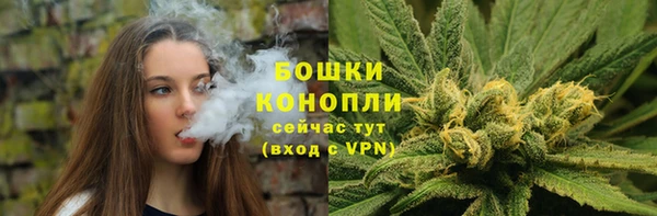 a pvp Гусев