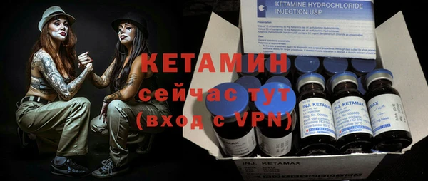 ECSTASY Гусь-Хрустальный