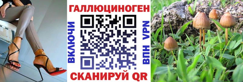 Псилоцибиновые грибы MAGIC MUSHROOMS закладки KRAKEN сайт Москва